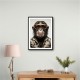 Cool Chimp Wall Art