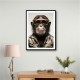 Cool Chimp Wall Art