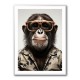 Cool Chimp Wall Art