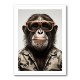 Cool Chimp Wall Art