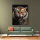 Angry Tiger 2 Angry Tiger 2
