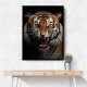 Angry Tiger 2 Angry Tiger 2