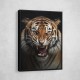 Angry Tiger 2 Angry Tiger 2