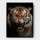 Angry Tiger 2 Angry Tiger 2