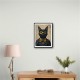 Black Cat Batman In Yellow Black Cat Batman In Yellow