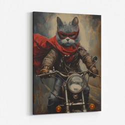 Biker Superhero Cat