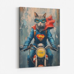 Superman Biker Cat