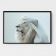 Ghutra White Lion Wall Art Ghutra White Lion Wall Art