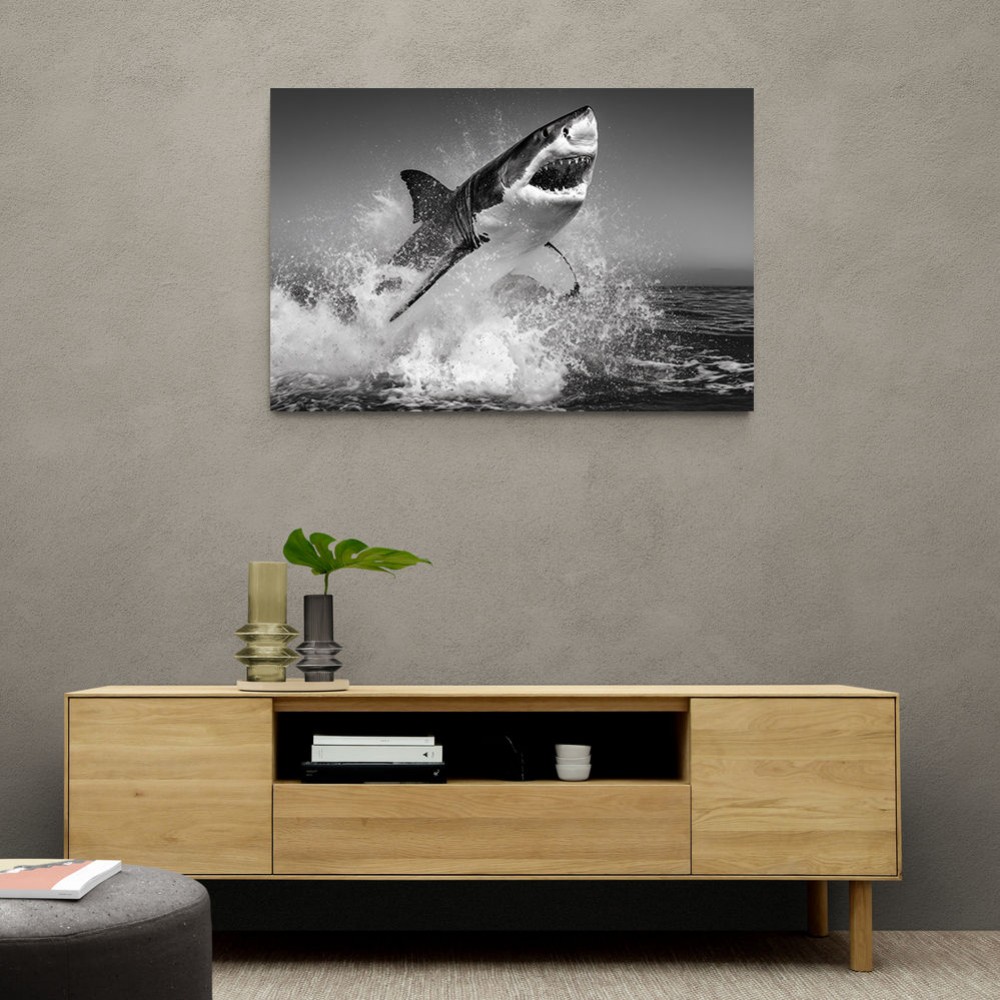 Beware of The Shark Beware of The Shark