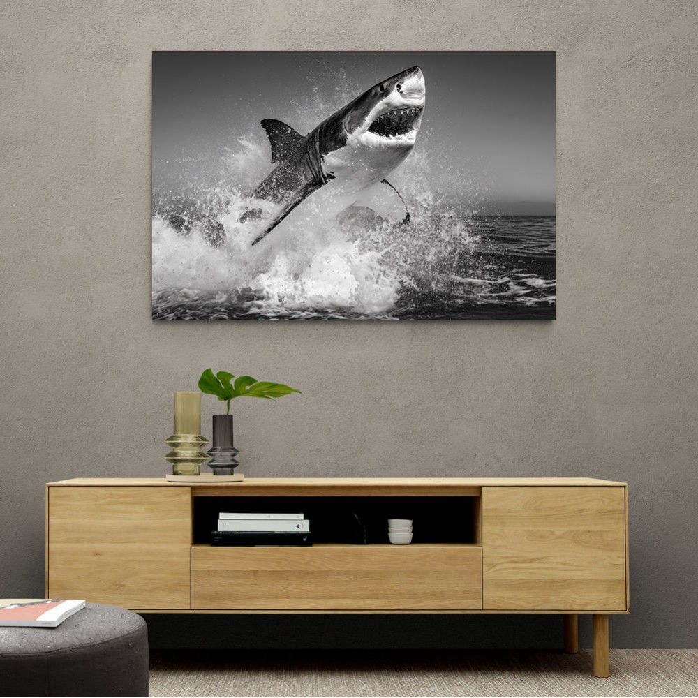 Beware of The Shark Beware of The Shark