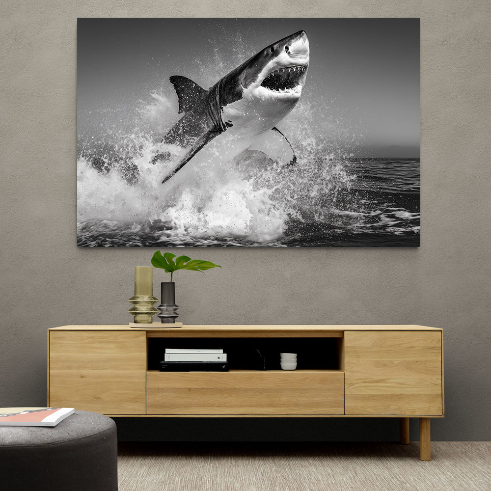 Beware of The Shark Beware of The Shark