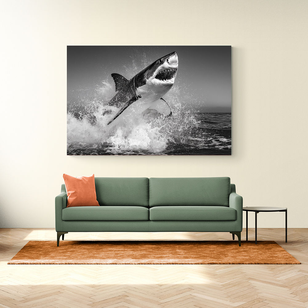 Beware of The Shark Beware of The Shark