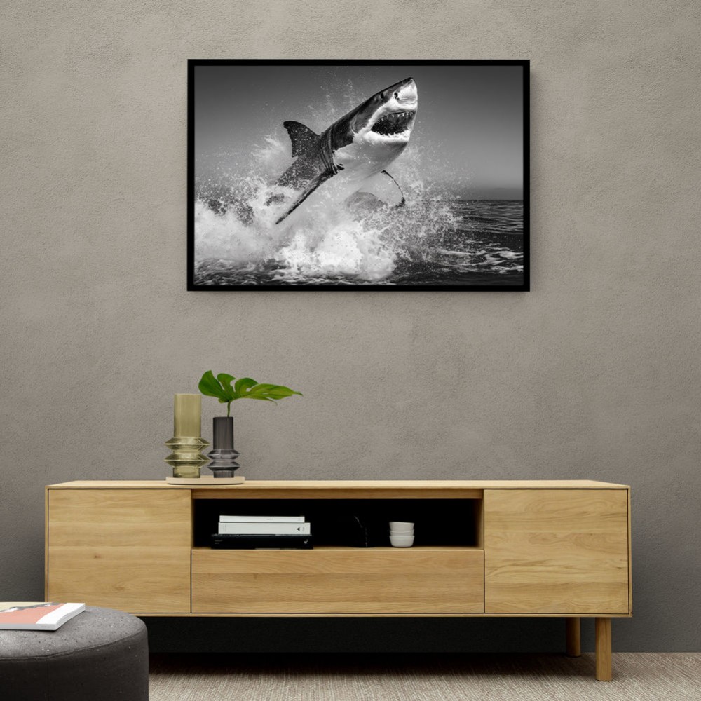 Beware of The Shark Beware of The Shark