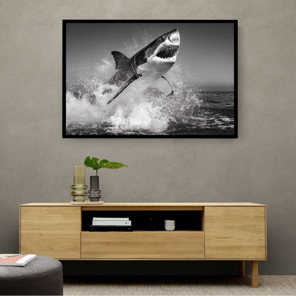 Beware of The Shark Beware of The Shark