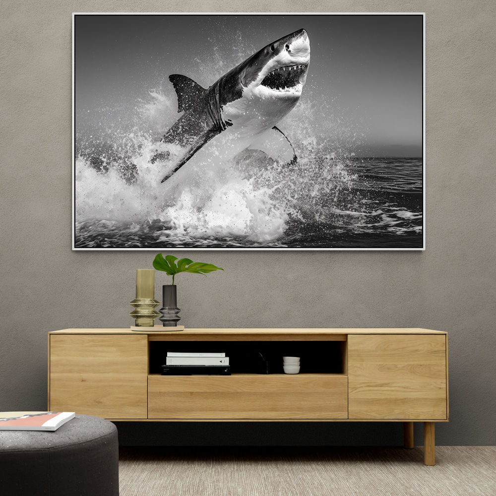 Beware of The Shark Beware of The Shark