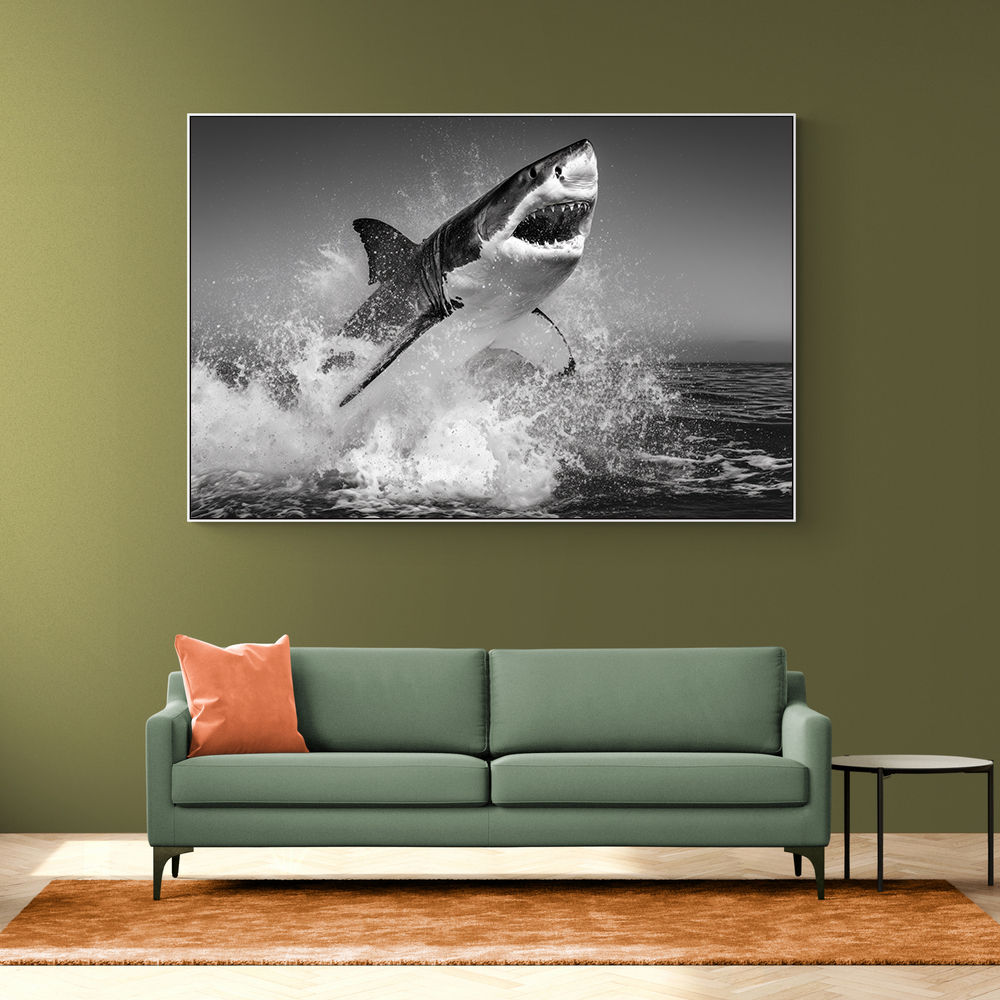 Beware of The Shark Beware of The Shark