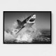 Beware of The Shark Beware of The Shark