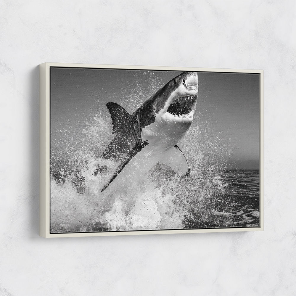 Beware of The Shark Beware of The Shark