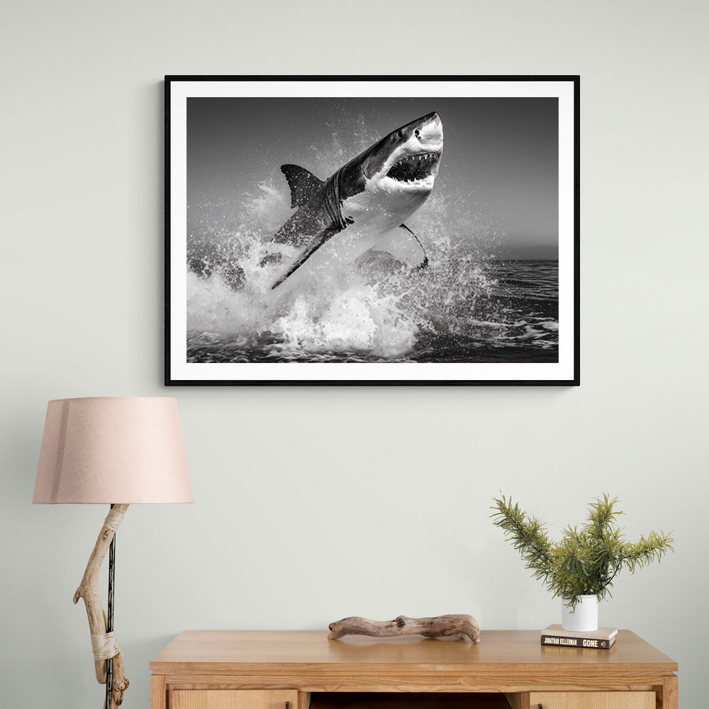 Beware of The Shark Beware of The Shark