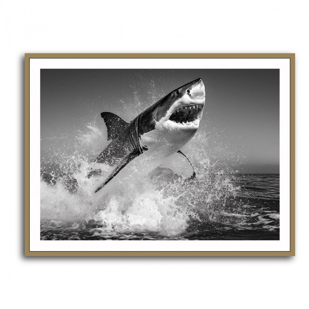 Beware of The Shark Beware of The Shark