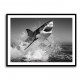 Beware of The Shark Beware of The Shark