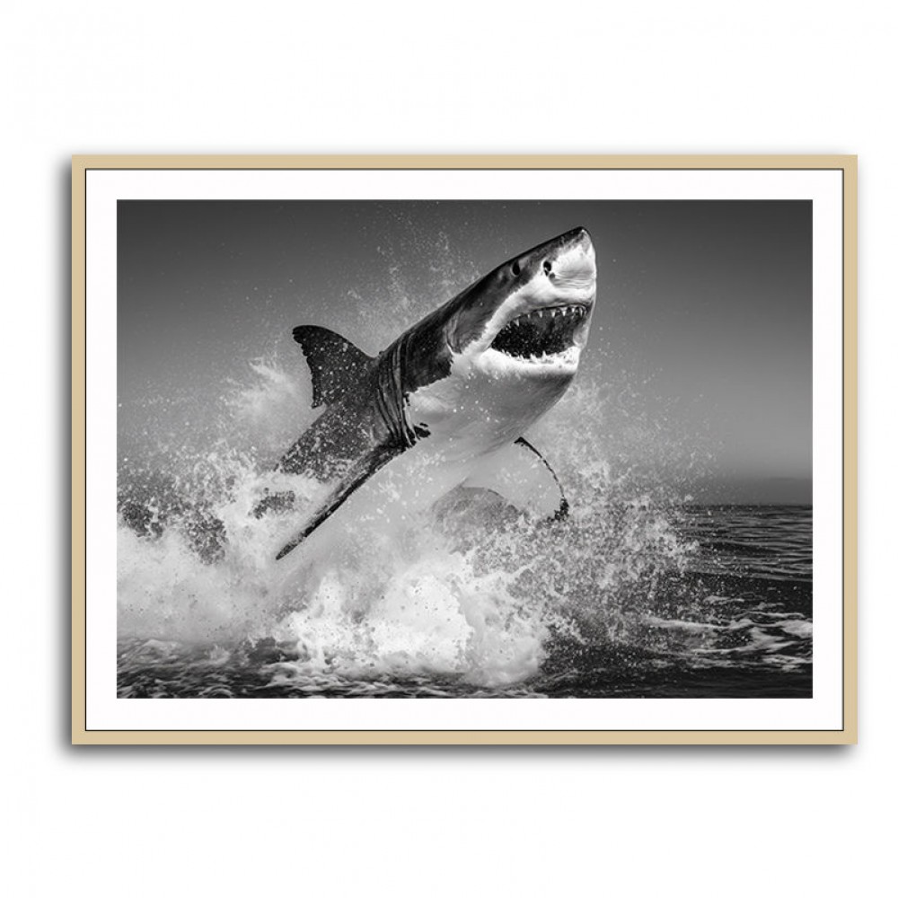 Beware of The Shark Beware of The Shark