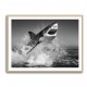 Beware of The Shark Beware of The Shark