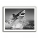 Beware of The Shark Beware of The Shark