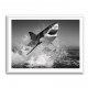 Beware of The Shark Beware of The Shark