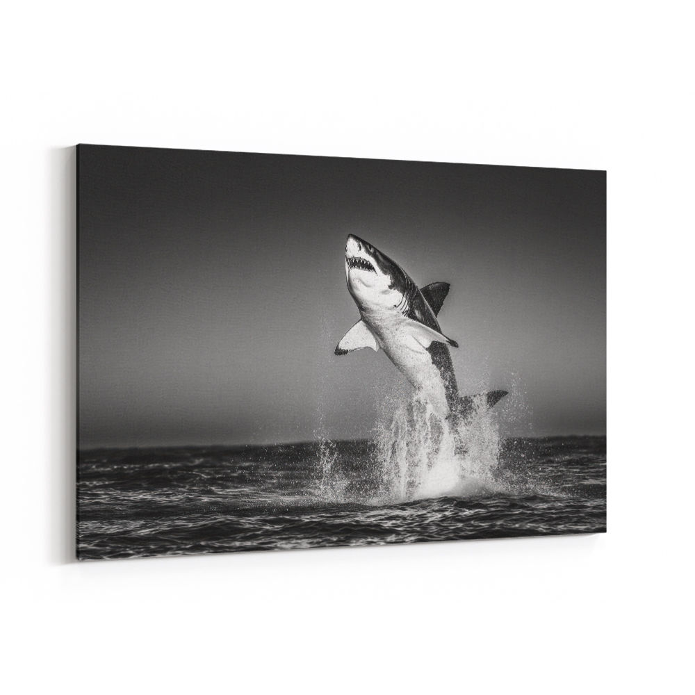 Great White Flight Great White Flight
