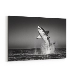 Great White Flight