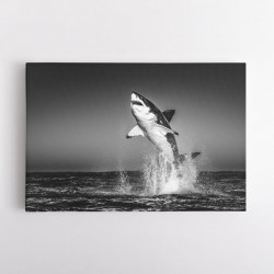 Great White Flight