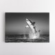 Great White Flight Great White Flight