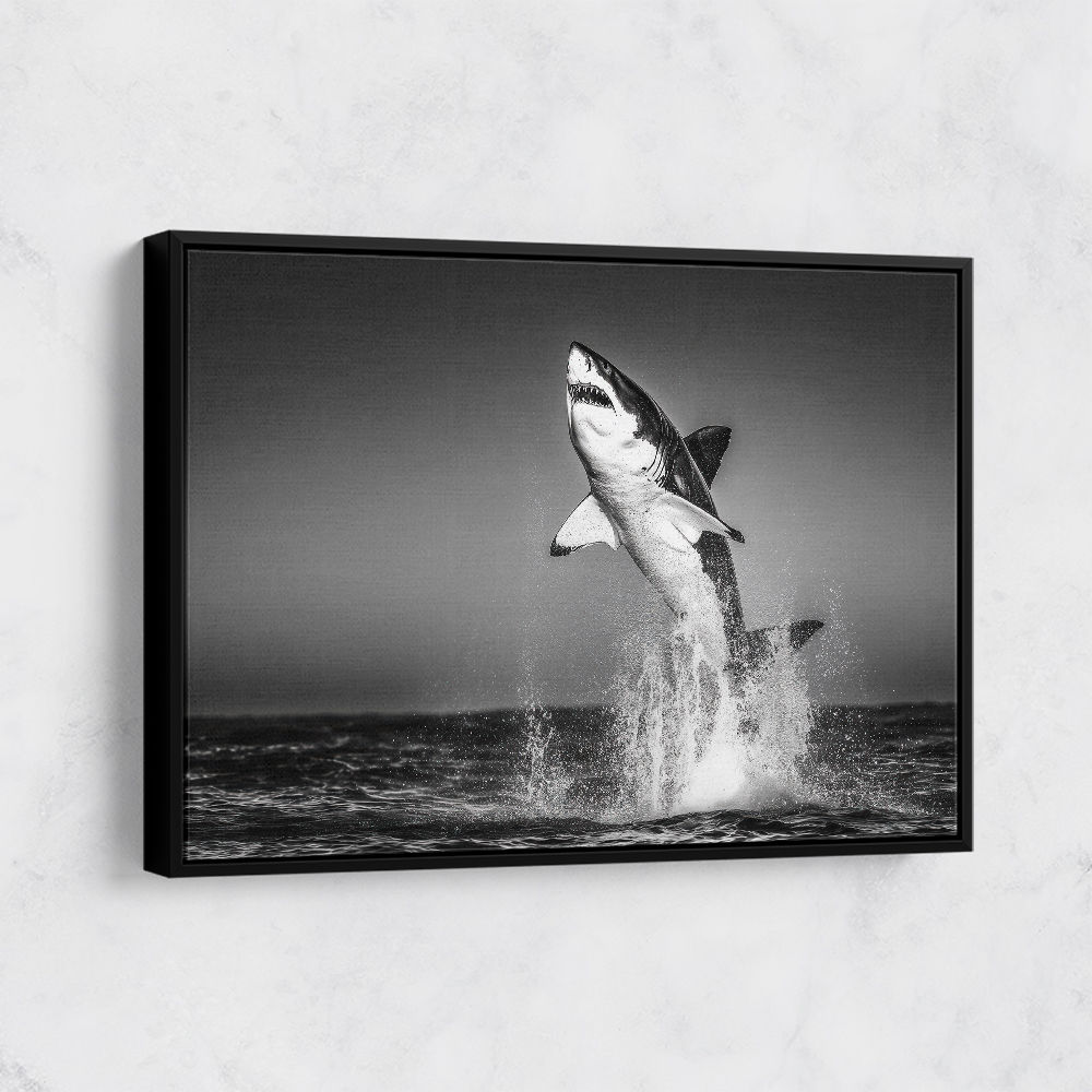 Great White Flight Great White Flight