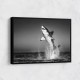 Great White Flight Great White Flight