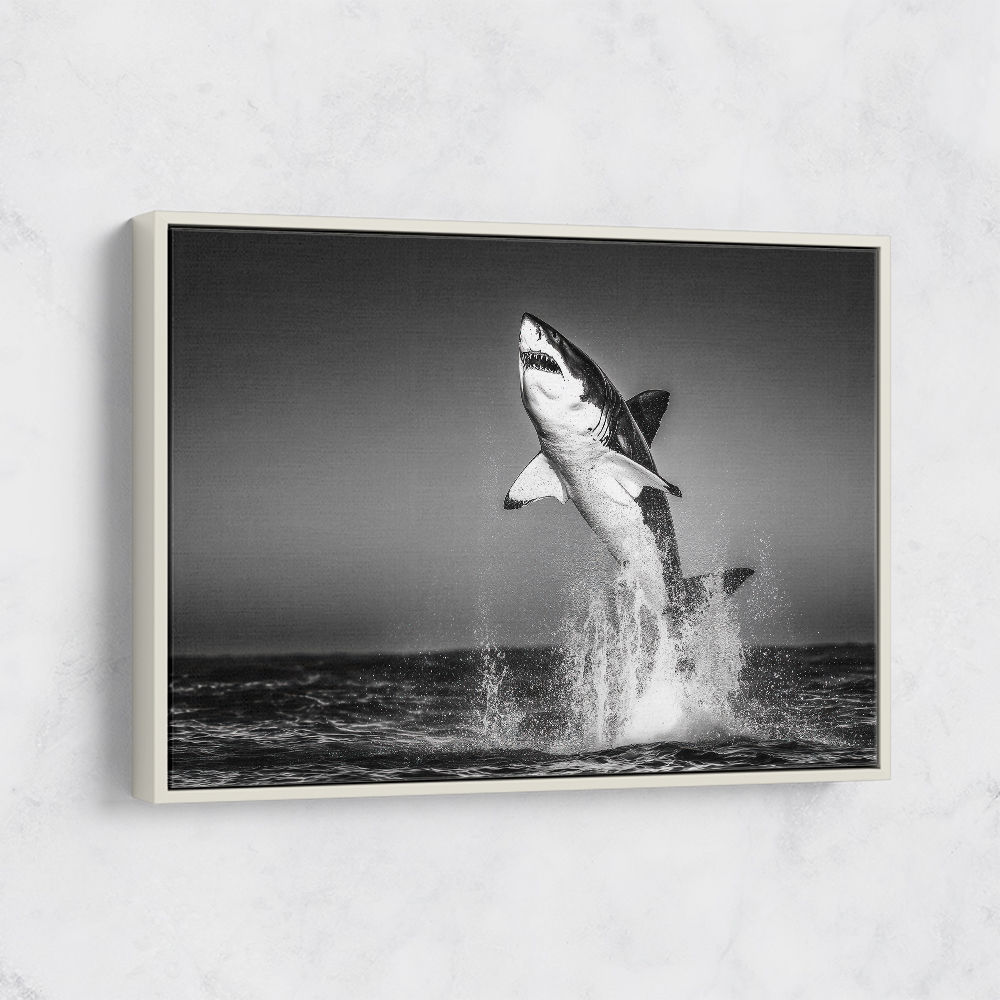 Great White Flight Great White Flight