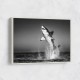 Great White Flight Great White Flight