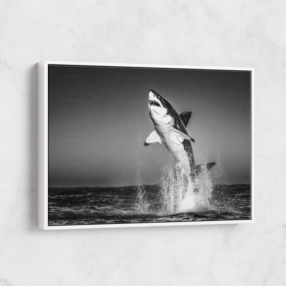 Great White Flight Great White Flight