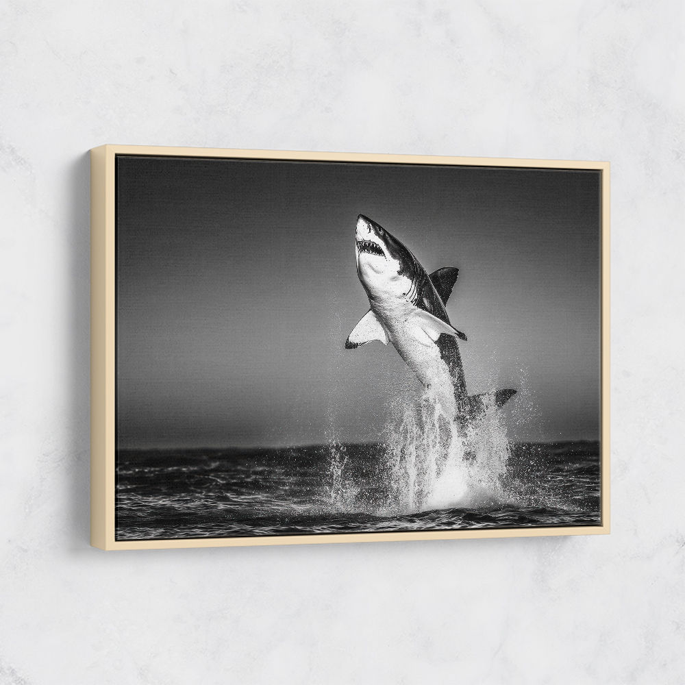 Great White Flight Great White Flight