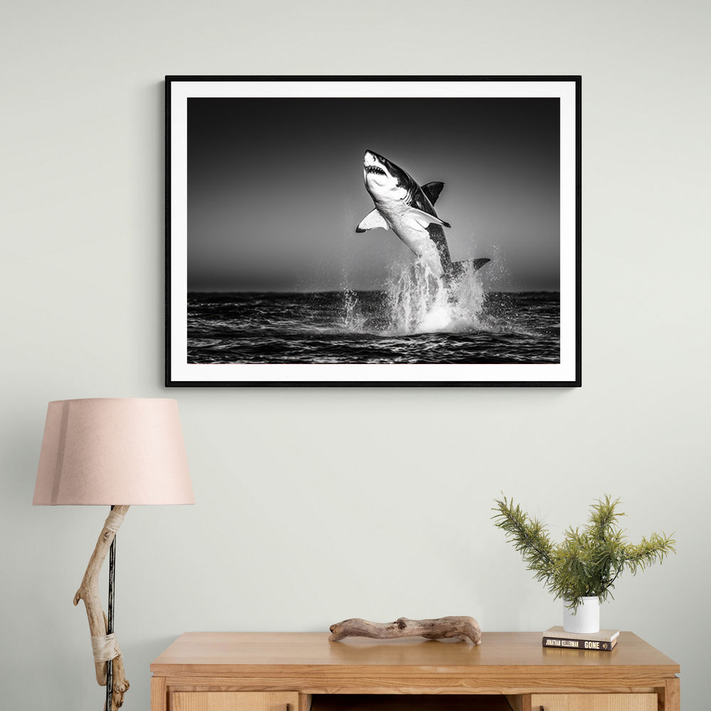 Great White Flight Great White Flight