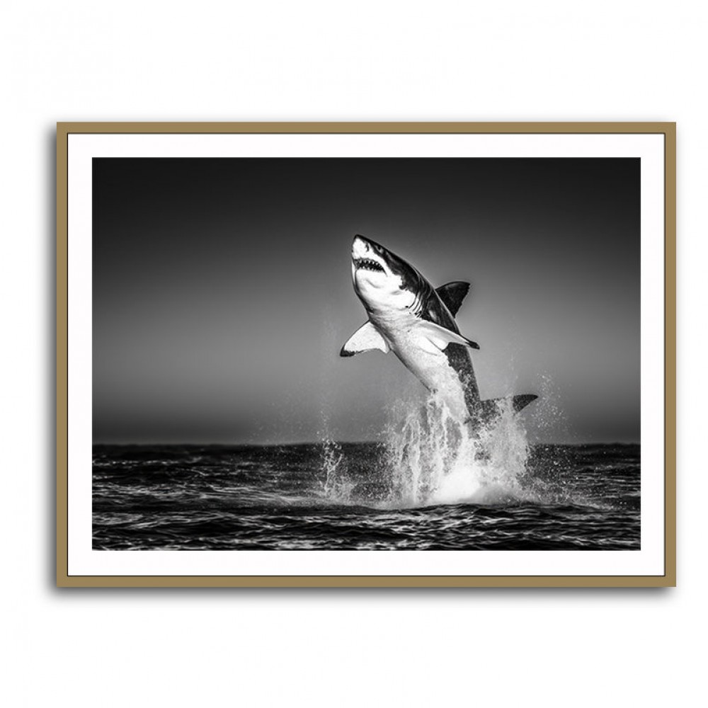 Great White Flight Great White Flight