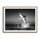 Great White Flight Great White Flight