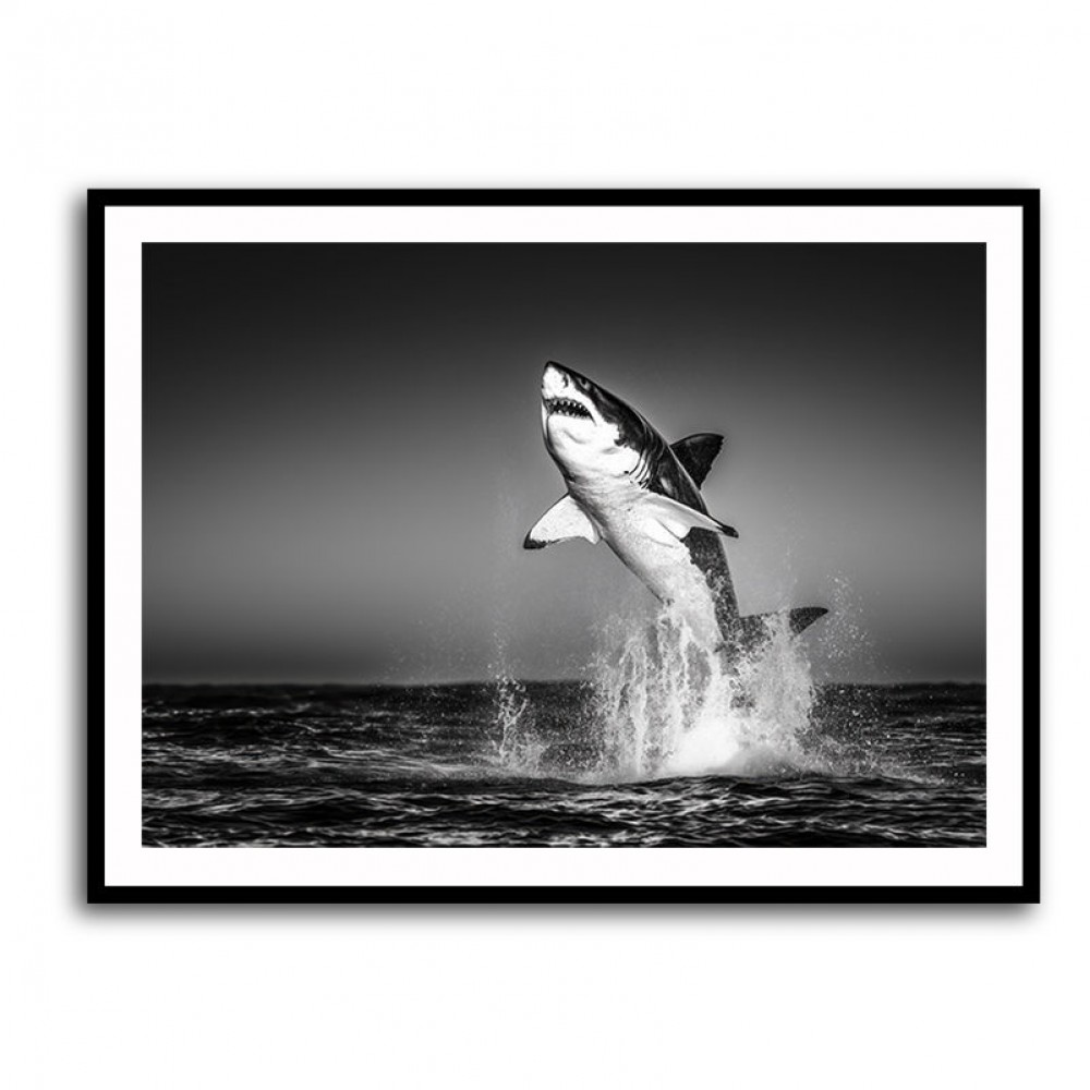 Great White Flight Great White Flight