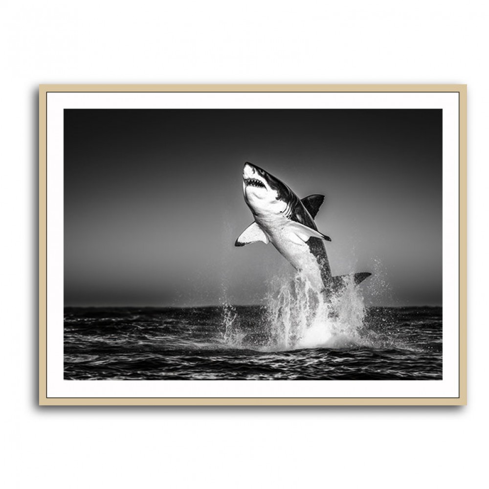 Great White Flight Great White Flight