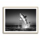 Great White Flight Great White Flight
