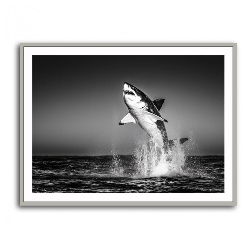 Great White Flight Great White Flight