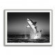 Great White Flight Great White Flight