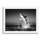 Great White Flight Great White Flight