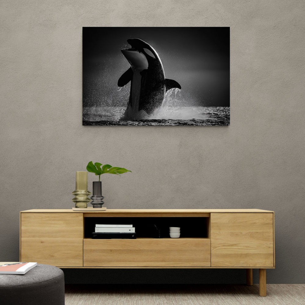 The Orca Dance The Orca Dance