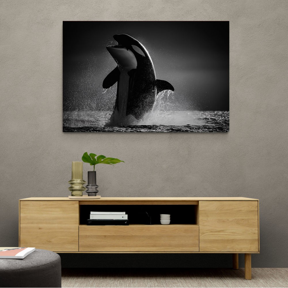 The Orca Dance The Orca Dance